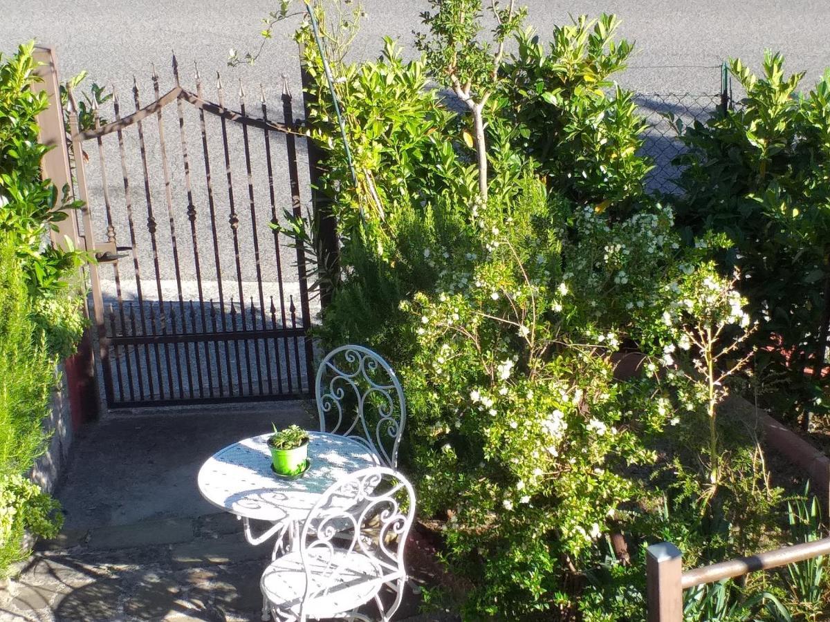 La Rosa Rossa Bed & Breakfast Cagli