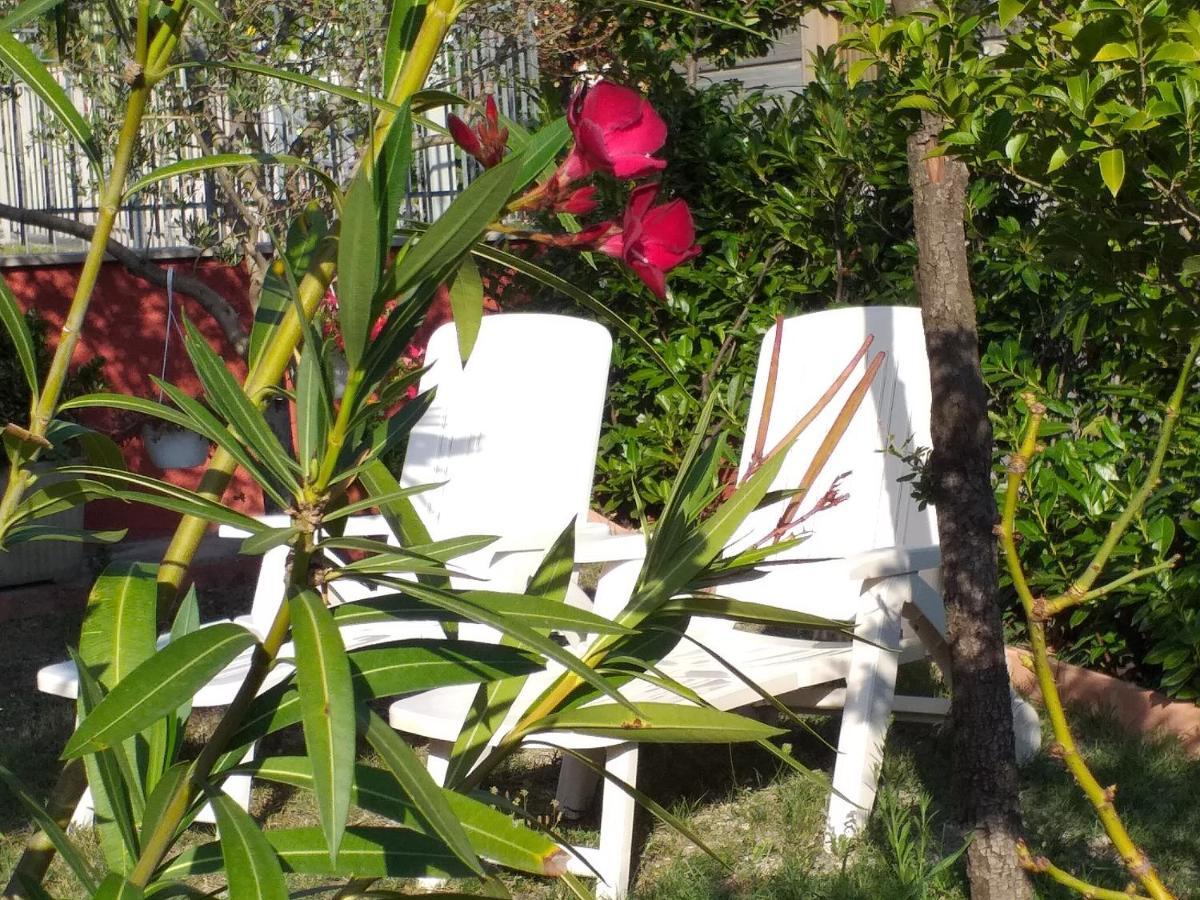 Bed & Breakfast La Rosa Rossa *