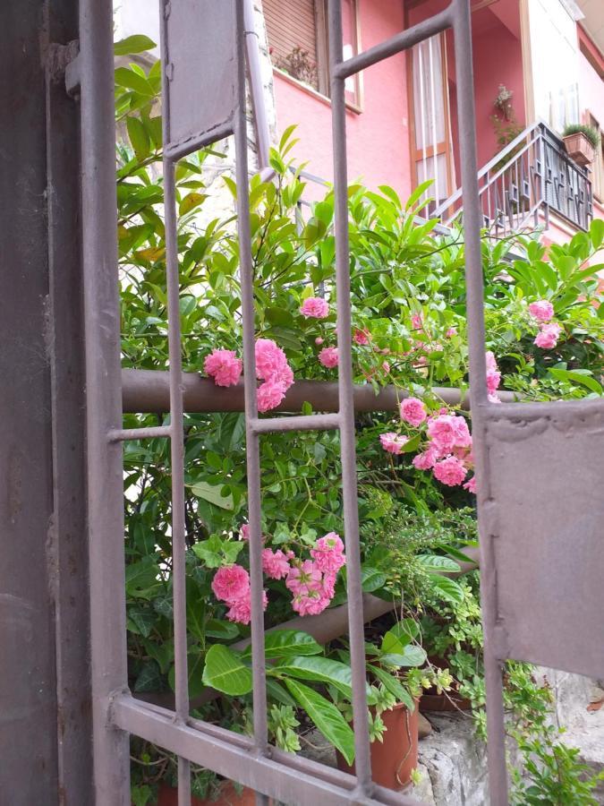 Bed & Breakfast La Rosa Rossa *